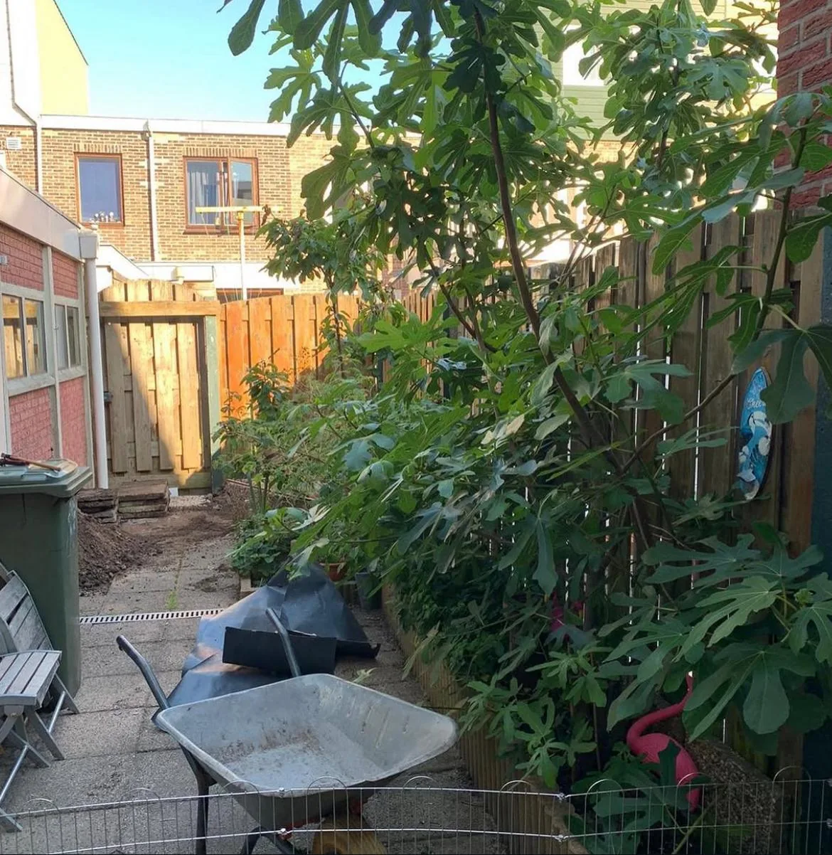 Complete tuintransformatie, voor en na